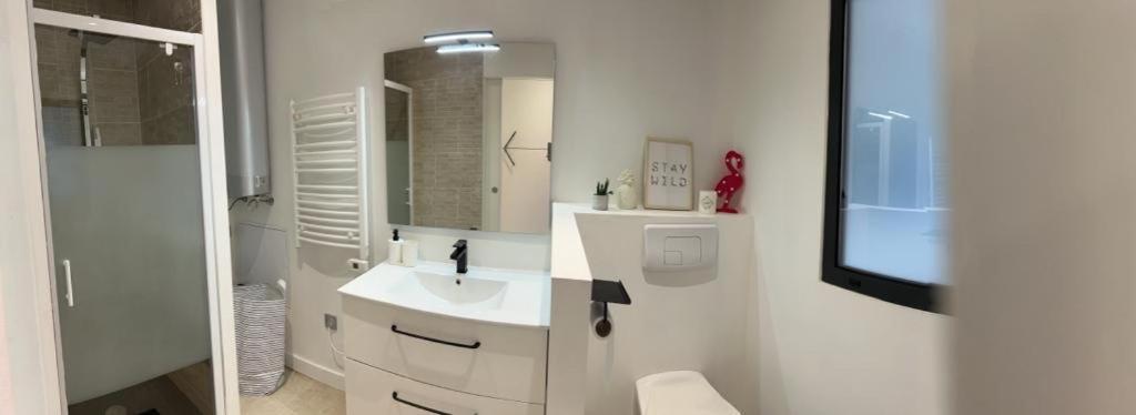 Apartmán Ferdinand Bordeaux Exteriér fotografie